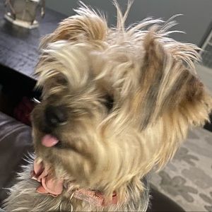 Meet your Posher, Ciara